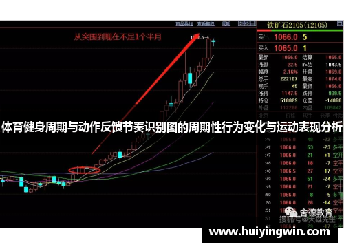 体育健身周期与动作反馈节奏识别图的周期性行为变化与运动表现分析