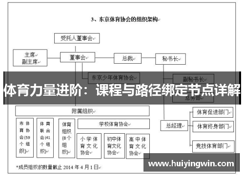 体育力量进阶：课程与路径绑定节点详解